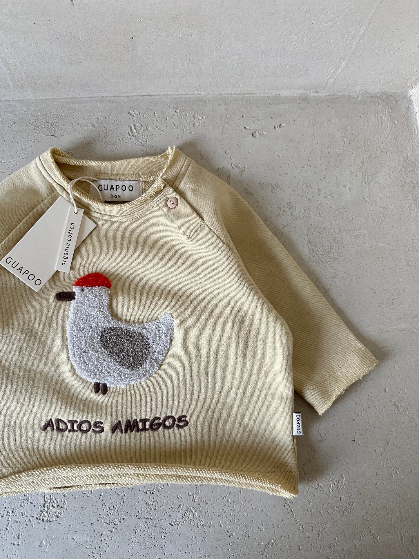 ADIOS AMIGOS SHIRT