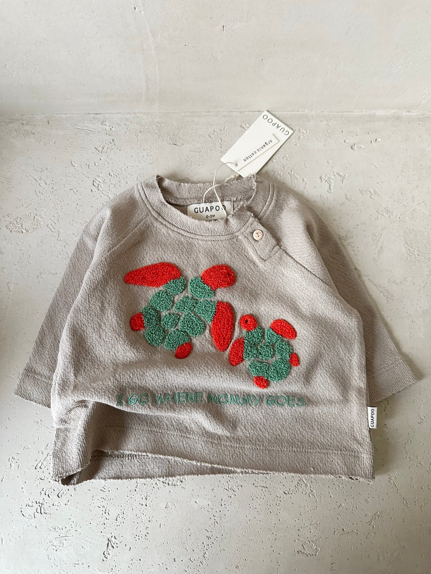 TURTLE SHIRT